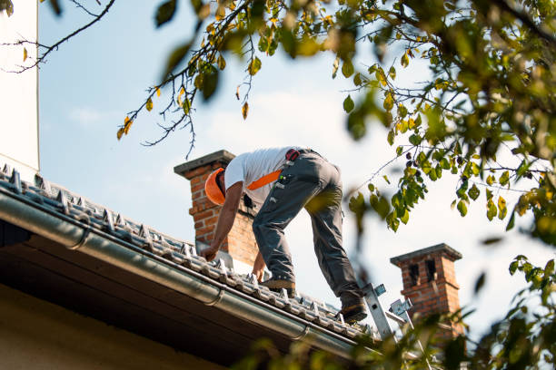 Best Gutter Installation and Roofing  in Zillah, WA